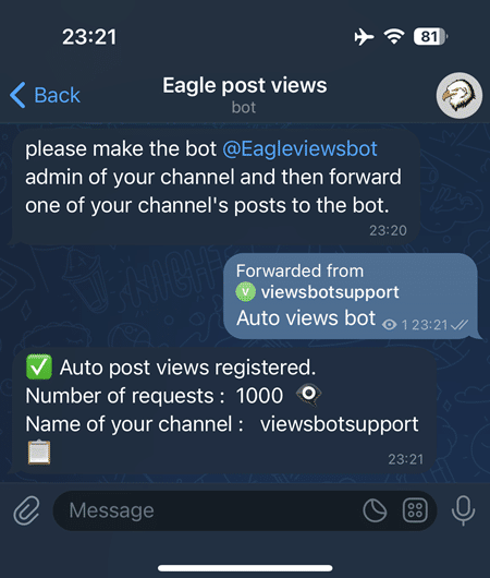 Grant admin access to @Eagleviewsbot, forward a post, and receive confirmation with your request details like view count and channel name.