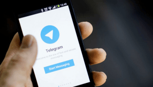 telegram subscribers