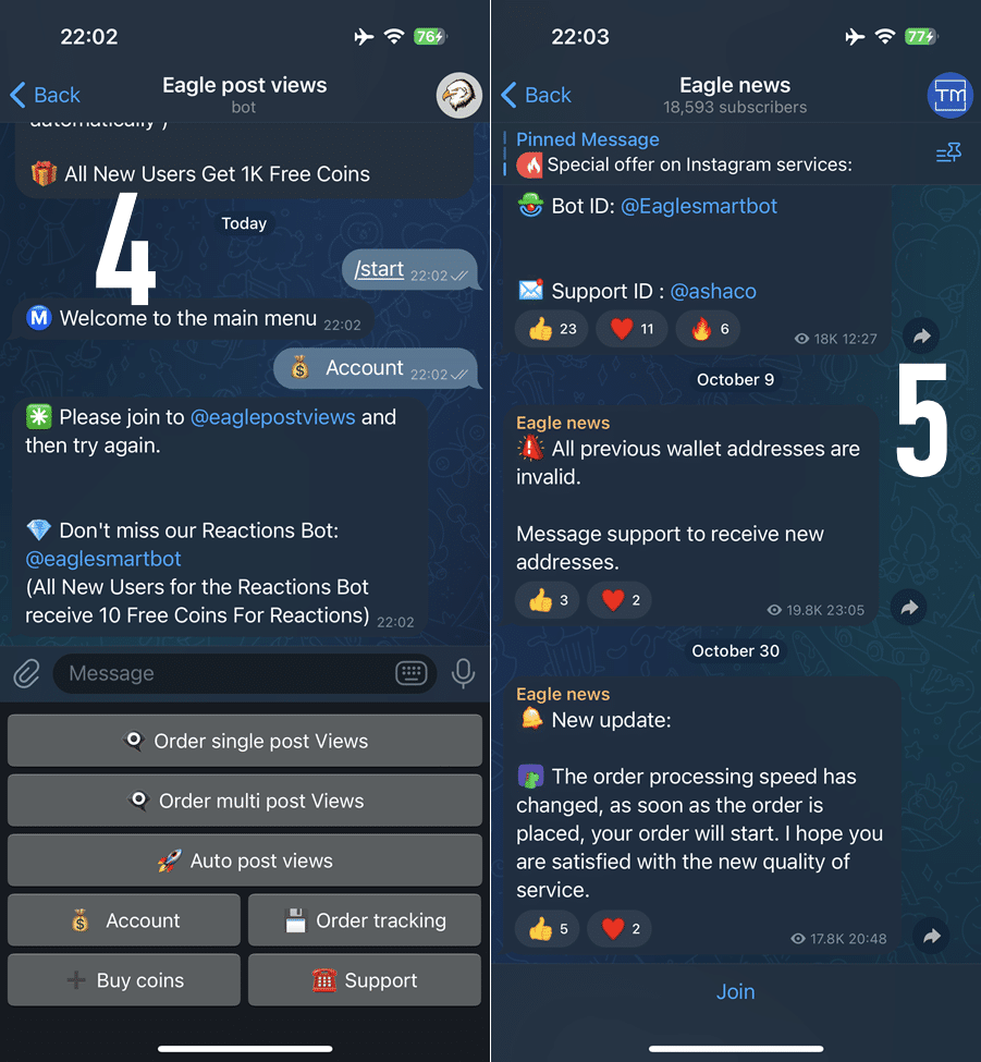 Click '💰 Account' to view initial coins, then subscribe to 'eaglepostviews' for additional benefits.