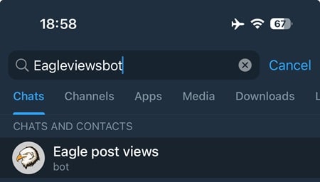 Open Telegram, search for 'Eagleviewsbot,' and click on the bot to start using it.