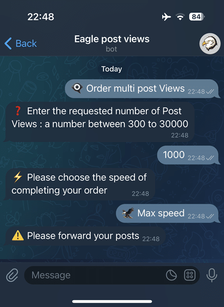Select '👁🗨 Order multi post Views,' enter the desired number, then choose one of four speeds, such as '🦅 Max speed,' for order processing.