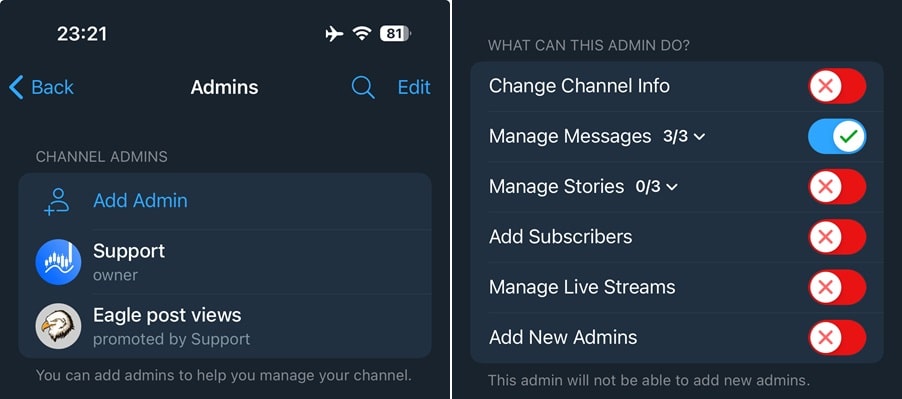 Set @Eagleviewsbot as an admin in your channel, then forward a post to complete the automatic views setup.