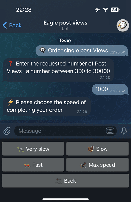 Select '👁🗨 Order single post Views,' enter the desired number within limits, then choose from four speeds for order completion based on your needs.
